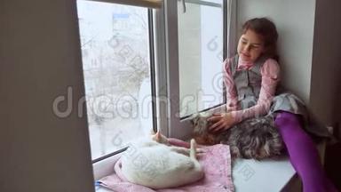 女孩和宠物猫和宠物狗一看窗外，猫睡觉